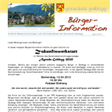 Bürgerinfo_04-2012.pdf